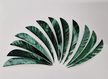 Load image into Gallery viewer, Gateway 4" Camo Parabolic Feathers