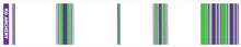Load image into Gallery viewer, KG Arrow Wraps - 7" Traditional Style - 2 colour