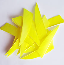 Load image into Gallery viewer, Gateway 3" Shield Feathers