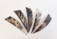 Load image into Gallery viewer, Gateway 3" Camo Shield Feathers