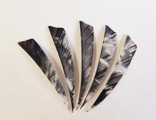 Load image into Gallery viewer, Gateway 4" Camo Shield Feathers