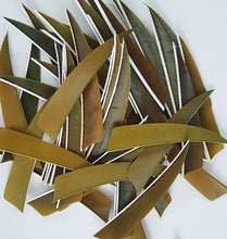 Load image into Gallery viewer, Gateway 4" Shield Feathers