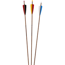 Load image into Gallery viewer, Bearpaw Penthalon Slimline Carbon Timber Arrows