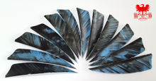 Load image into Gallery viewer, Gateway 3" Camo Shield Feathers