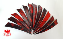 Load image into Gallery viewer, Gateway 4" Camo Shield Feathers