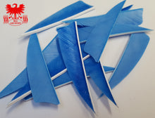 Load image into Gallery viewer, Gateway 3" Shield Feathers