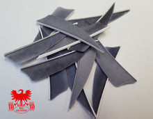 Load image into Gallery viewer, Gateway 3" Shield Feathers