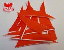 Load image into Gallery viewer, Gateway 3" Shield Feathers