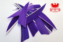 Load image into Gallery viewer, Gateway 3" Shield Feathers