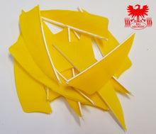 Load image into Gallery viewer, Gateway 3" Shield Feathers
