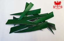 Load image into Gallery viewer, Gateway 4" Shield Feathers