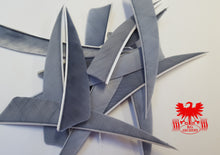 Load image into Gallery viewer, Gateway 4" Shield Feathers