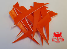Load image into Gallery viewer, Gateway 4" Shield Feathers
