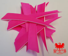 Load image into Gallery viewer, Gateway 4" Shield Feathers