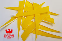 Load image into Gallery viewer, Gateway 4" Shield Feathers