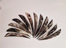 Load image into Gallery viewer, Gateway 4&quot; Camo Parabolic Feathers