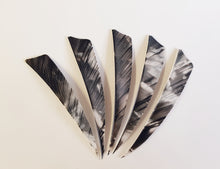 Load image into Gallery viewer, Gateway 4&quot; Camo Shield Feathers