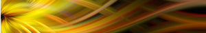 KG Wraps - Yellow Swirl (51)