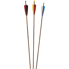 Load image into Gallery viewer, Bearpaw Pentathlon Slimline Carbon Timber Arrows