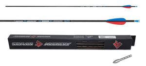 Skylon Radius Carbon Arrows x12